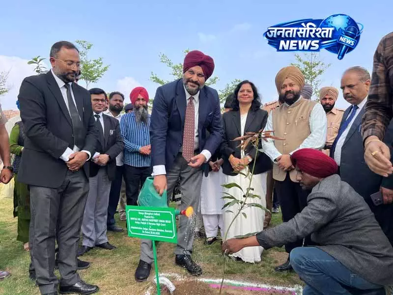 Punjab: कोर्टरूम से गांव तक बदलाव की कहानी Punjab: कोर्टरूम से गांव तक बदलाव की कहानी