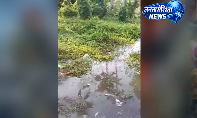 Kerala : जापान में पीने के पानी का पाइप फटा, परिवार परेशान Kerala : जापान में पीने के पानी का पाइप फटा, परिवार परेशान