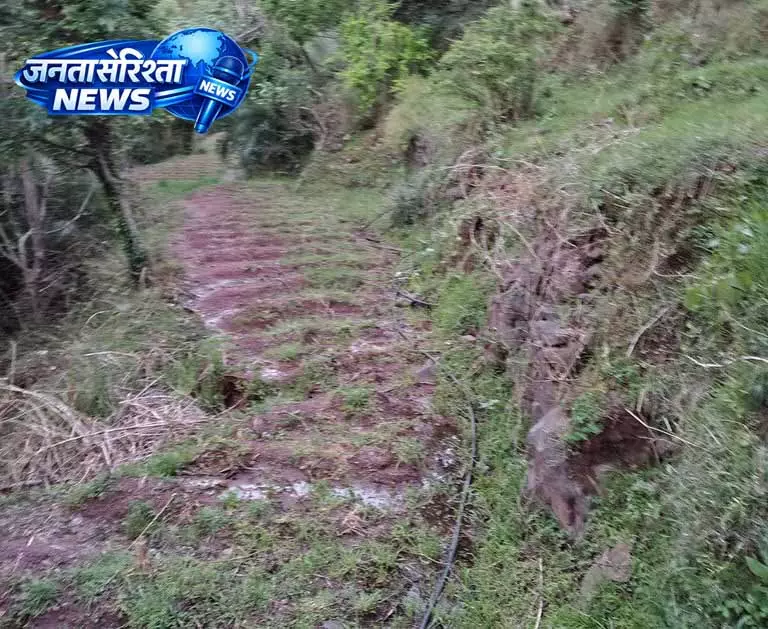 Solan में बारिश का कहर, कृषि उत्पादन पर संकट Solan में बारिश का कहर, कृषि उत्पादन पर संकट