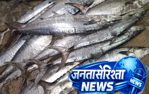हिमाचल: मछुआरों को सुक्खू सरकार का तोहफा, जलाशयों की मछलियों के लिए एमएसपी तय हिमाचल: मछुआरों को सुक्खू सरकार का तोहफा, जलाशयों की मछलियों के लिए एमएसपी तय