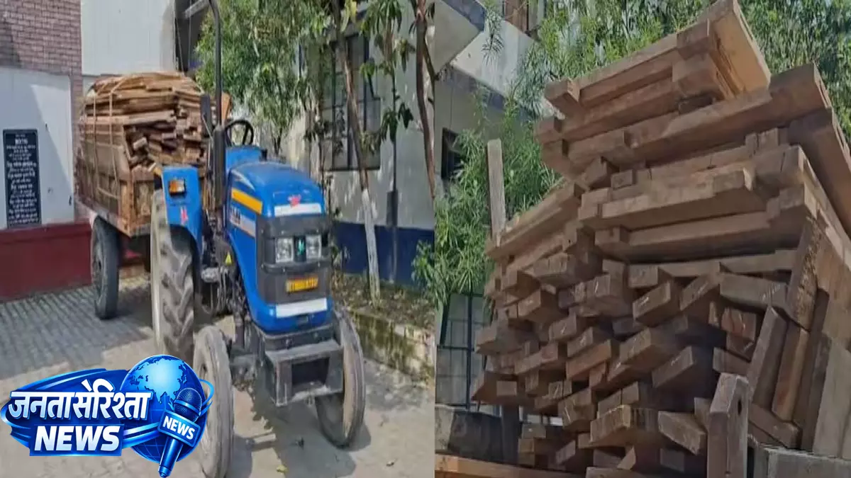 Dhubri पुलिस की बड़ी कार्रवाई, चोरी की लकड़ी बरामद, तीन गिरफ्तार Dhubri पुलिस की बड़ी कार्रवाई, चोरी की लकड़ी बरामद, तीन गिरफ्तार