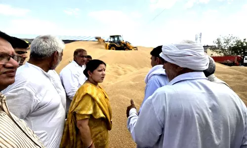 Haryana: झज्जर की मंडियों में भारी आवक के बीच गेहूं का उठान धीमा Haryana: झज्जर की मंडियों में भारी आवक के बीच गेहूं का उठान धीमा