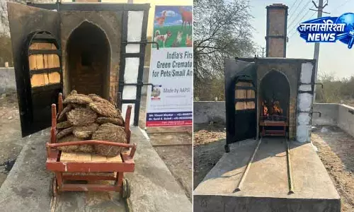 Faridabad में पालतू जानवरों के लिए पहला ग्रीन श्मशान घाट Faridabad में पालतू जानवरों के लिए पहला ग्रीन श्मशान घाट
