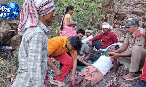 Paikmal गंधमर्दन जंगल में खो गए सात तीर्थयात्रियों को बचाया गया