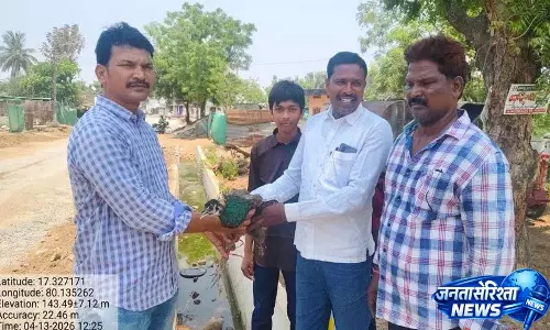 Khammam के थर्डला गांव में वन अधिकारियों ने मोर को बचाया Khammam के थर्डला गांव में वन अधिकारियों ने मोर को बचाया