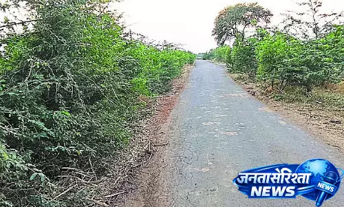 Karnataka : सड़क किनारे कांटेदार झाड़ियां हटाने की अपील
