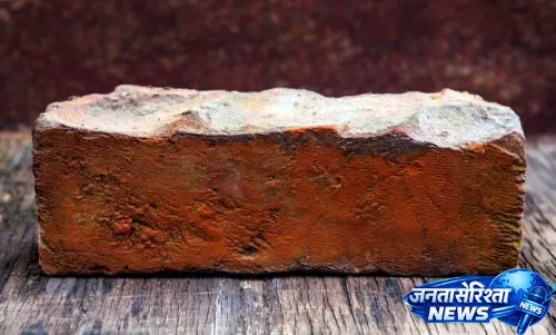 ओडिशा के शमशाबाद में प्रवासी मज़दूर ने अपने Live-In Partner की ईंट से मारकर हत्या कर दी ओडिशा के शमशाबाद में प्रवासी मज़दूर ने अपने Live-In Partner की ईंट से मारकर हत्या कर दी