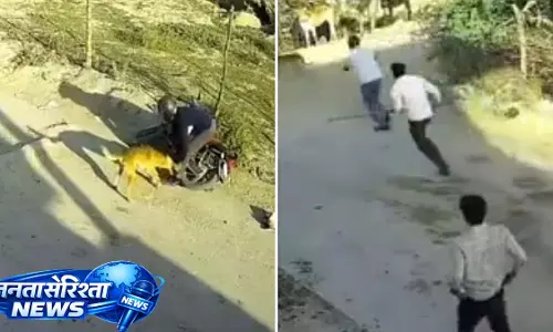 Rajasthan के टोंक में आवारा कुत्ते ने बाइकर पर हमला किया; स्थानीय लोगों ने पीड़ित को बचाया Rajasthan के टोंक में आवारा कुत्ते ने बाइकर पर हमला किया; स्थानीय लोगों ने पीड़ित को बचाया