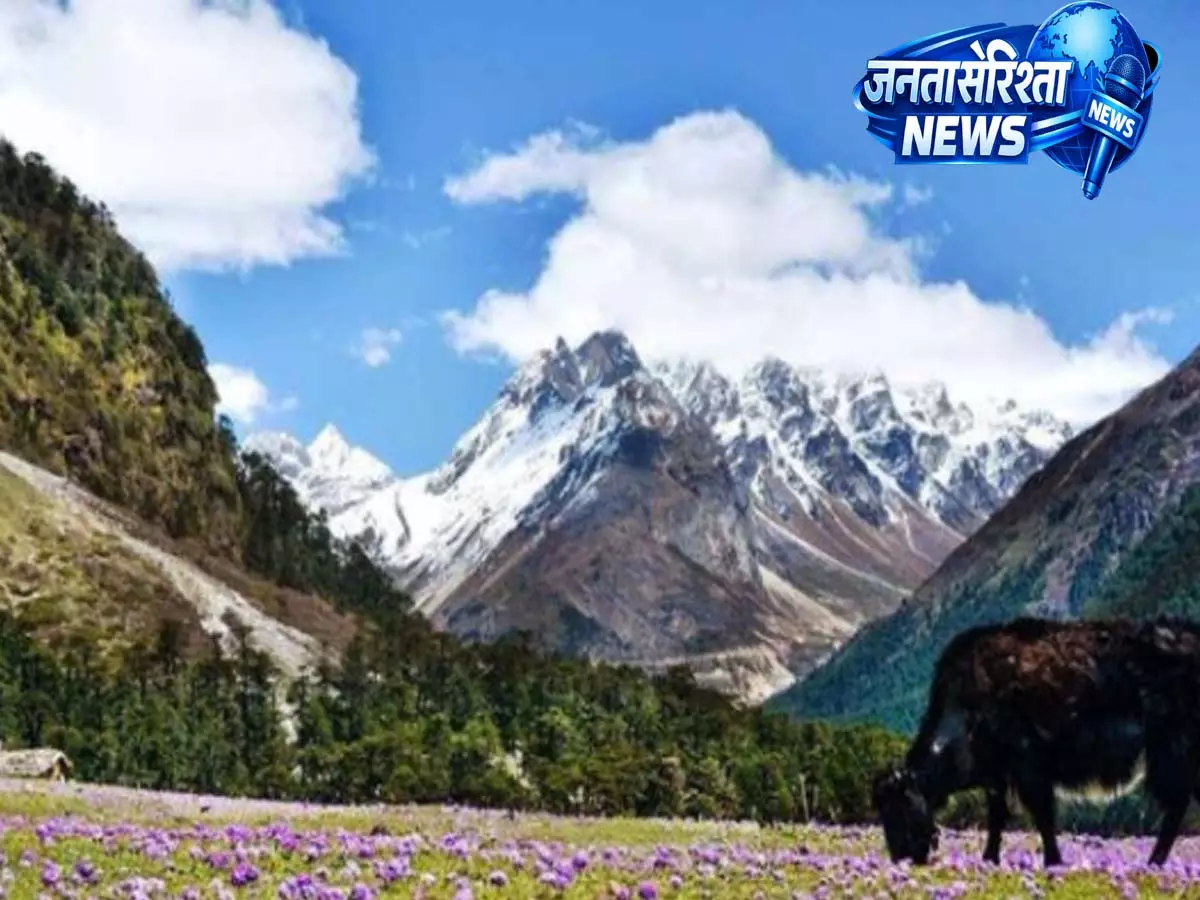 ओके बाज्या: वो जापानी दादा जिन्होंने नेपाल के पाल्पा को बदल दिया ओके बाज्या: वो जापानी दादा जिन्होंने नेपाल के पाल्पा को बदल दिया