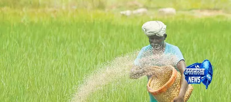 Odisha ने धान खरीद का रिकॉर्ड बनाया Odisha ने धान खरीद का रिकॉर्ड बनाया