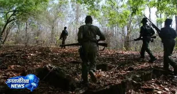 सुरक्षा बलों ने Odisha-Chhattisgarh सीमा से 70 जिलेटिन छड़ें ज़ब्त कीं सुरक्षा बलों ने Odisha-Chhattisgarh सीमा से 70 जिलेटिन छड़ें ज़ब्त कीं