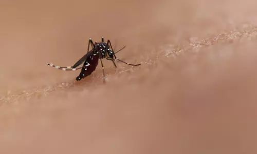वियतनाम ने डेंगू बुखार के बढ़ते मामलों को लेकर दी चेतावनी
