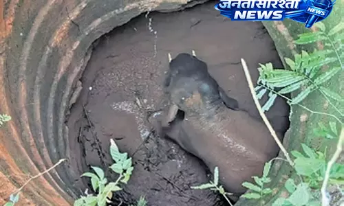 Mangaluru : 12 घंटे के लगातार ऑपरेशन के बाद हाथी 30 फीट की गहराई से सुरक्षित कैसे बाहर आया? Mangaluru : 12 घंटे के लगातार ऑपरेशन के बाद हाथी 30 फीट की गहराई से सुरक्षित कैसे बाहर आया?