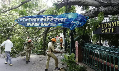 Kerala : सचिवालय गेट के पास पेड़ गिरा, बड़ा हादसा टला