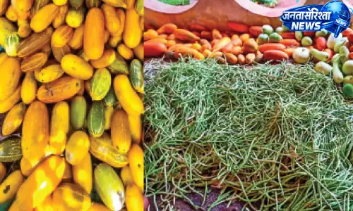 Kerala : कुदुम्बश्री मिशन ने सब्जी की खेती में विशु मार्केट पर कब्ज़ा कर लिया Kerala : कुदुम्बश्री मिशन ने सब्जी की खेती में विशु मार्केट पर कब्ज़ा कर लिया