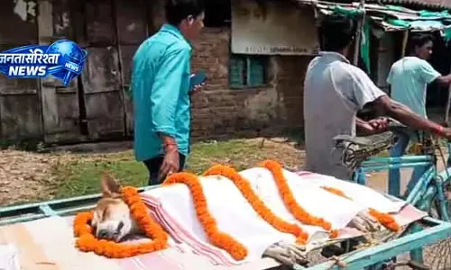 Udala आवारा कुत्ते ने 30 बच्चों को बचाया, सांप से लड़ते हुए मर गया Udala आवारा कुत्ते ने 30 बच्चों को बचाया, सांप से लड़ते हुए मर गया