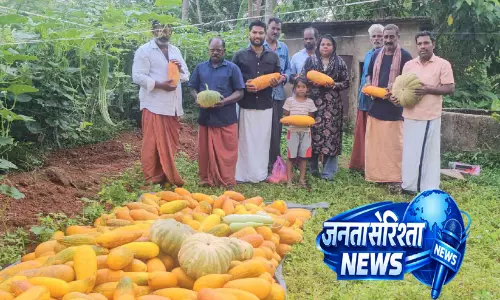 Kerala : नारायणन और सुरेश ने विशु के लिए सब्जी की खेती में अच्छी फसल काटी