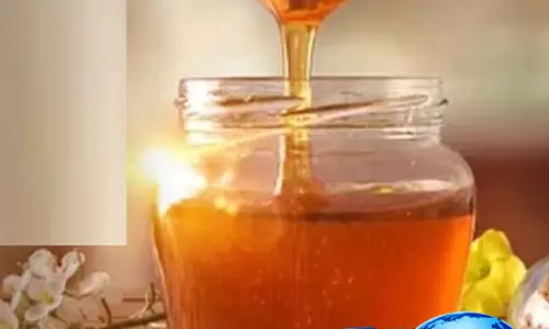 वजन घटाने से लेकर इम्युनिटी बढ़ाने तक, शहद सेवन के कई फायदे