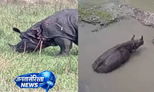 Manas National Park  में झड़प के बाद घायल गैंडे की मौत
