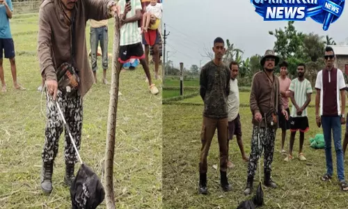 Assam: तिनसुकिया गांव से अजगर का रेस्क्यू, रिजर्व फॉरेस्ट में सुरक्षित छोड़ा गया