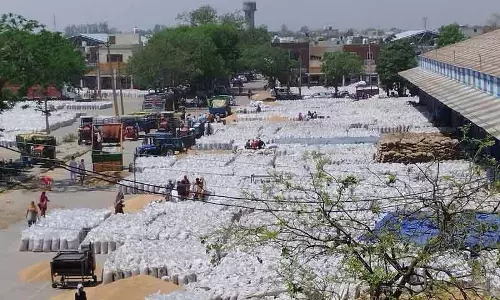 Karnal में पोर्टल में गड़बड़ी, किसानों की उठान में रुकावट
