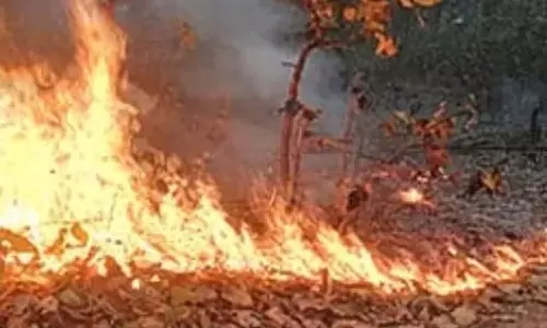 जंगल की आग ने किसान घर को लिया चपेट में, जलकर खाक जंगल की आग ने किसान घर को लिया चपेट में, जलकर खाक