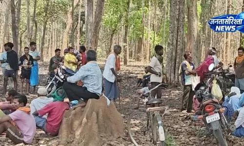 नगरी वन विभाग ने बुलडोजर चलवाया, अवैध घरों को किया ध्वस्त नगरी वन विभाग ने बुलडोजर चलवाया, अवैध घरों को किया ध्वस्त