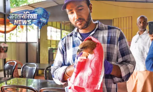 Kerala : बाज़ पालने पर रेस्टोरेंट मालिक के खिलाफ केस दर्ज Kerala : बाज़ पालने पर रेस्टोरेंट मालिक के खिलाफ केस दर्ज