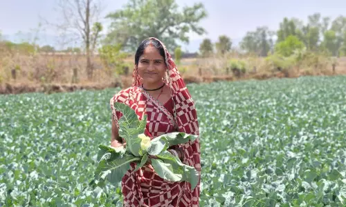 साय सरकार की पहल से सशक्त हुई महिलाएं, हमेश्वरी राठौर बनीं लखपति दीदी