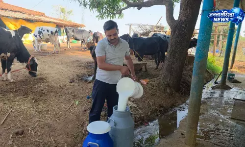 सरगुजा के राजनाथ यादव बने आधुनिक पशुपालन से आत्मनिर्भरता की मिसाल सरगुजा के राजनाथ यादव बने आधुनिक पशुपालन से आत्मनिर्भरता की मिसाल