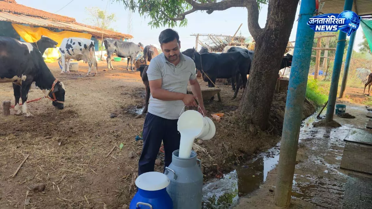 सरगुजा के राजनाथ यादव बने आधुनिक पशुपालन से आत्मनिर्भरता की मिसाल सरगुजा के राजनाथ यादव बने आधुनिक पशुपालन से आत्मनिर्भरता की मिसाल