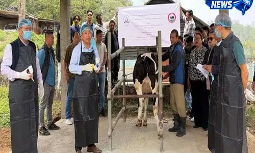 Kohima: AH&VS ने कोहिमा में FMD राउंड VII वैक्सीनेशन शुरू किया