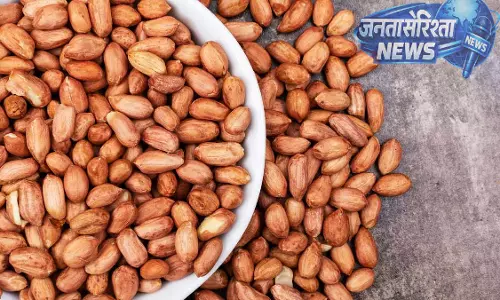 Sanwer : घटिया मूंगफली बीज वितरण पर विवाद, जांच के आदेश जारी Sanwer : घटिया मूंगफली बीज वितरण पर विवाद, जांच के आदेश जारी