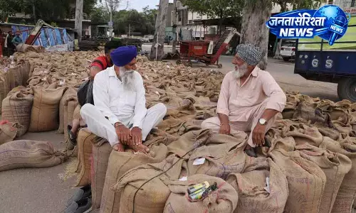 Jalandhar: गेहूं की लिफ्टिंग शून्य रहने से मंडियों में दबाव