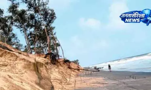 कटाव और समुद्र के कारण Gahirmatha में घोंसले बनाने की जगह खो गई कटाव और समुद्र के कारण Gahirmatha में घोंसले बनाने की जगह खो गई