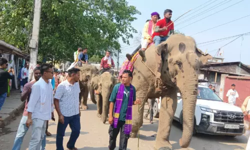 Assam : डूमडूमा में रोंगाली बिहू के जश्न के तौर पर रंगारंग सांस्कृतिक जुलूस निकाला