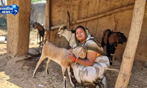 बिहान योजना से बदली जिंदगी, बकरी पालन से इंद्रनिया बाई बनीं लखपति दीदी