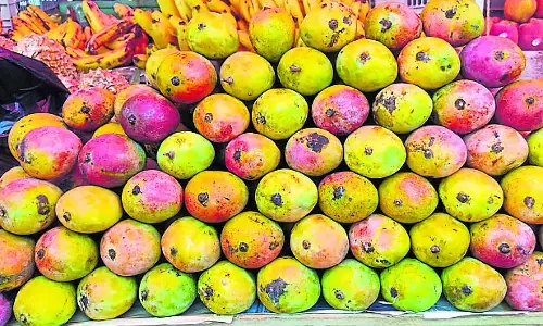 Yalandur : दूसरे राज्यों से आम बाज़ार में आए