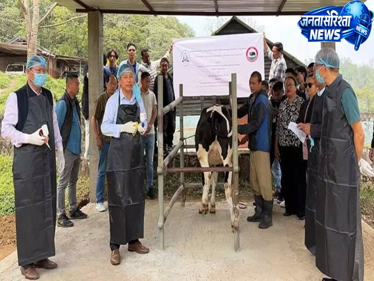 Kohima: AH&VS ने कोहिमा में FMD राउंड VII वैक्सीनेशन शुरू किया Kohima: AH&VS ने कोहिमा में FMD राउंड VII वैक्सीनेशन शुरू किया