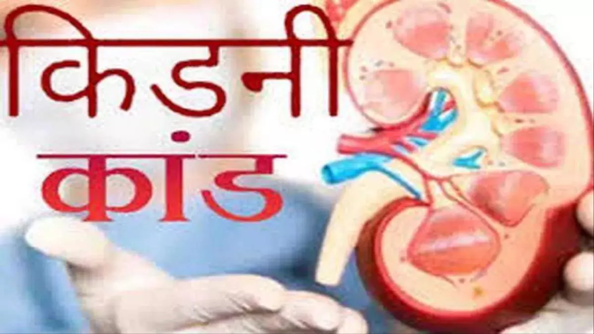 डॉक्टर फरार, किडनी ट्रांसप्लांट कराने वाले 2 मरीजों की मौत डॉक्टर फरार, किडनी ट्रांसप्लांट कराने वाले 2 मरीजों की मौत
