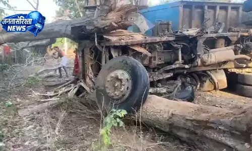 ट्रेलर से पेड़ गिरा, हाईटेंशन लाइन भी क्षतिग्रस्त ट्रेलर से पेड़ गिरा, हाईटेंशन लाइन भी क्षतिग्रस्त