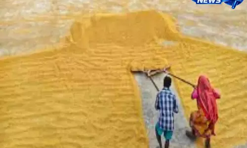 Hyderabad: सरकार ने चावल मिलर्स की याचिका खारिज की, 3,960 करोड़ रुपये का डिफॉल्ट घोषित Hyderabad: सरकार ने चावल मिलर्स की याचिका खारिज की, 3,960 करोड़ रुपये का डिफॉल्ट घोषित
