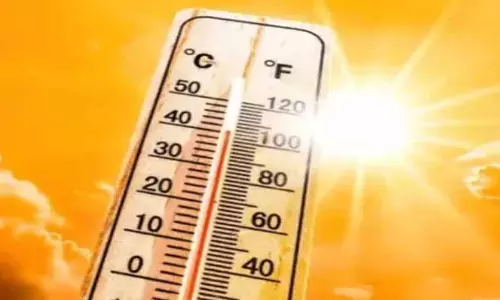 गर्मी को लेकर येलो अलर्ट जारी, स्वास्थ्य मंत्री ने ली बैठक