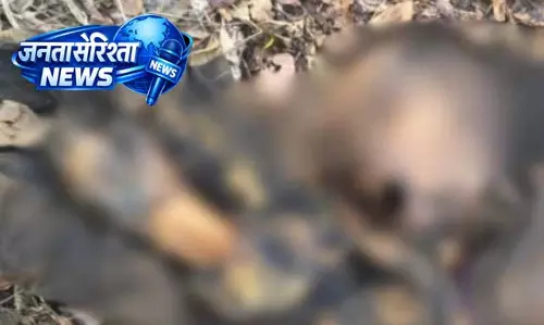 बालोद में फिर हत्या! सड़ी गली लाश मिली