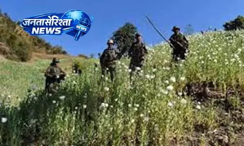 Doda में अवैध मादक पदार्थ की खेती का खुलासा