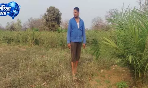 ऑयल पाम और उद्यानिकी फसल से किसान लक्ष्मीकांत साहू की आय में वृद्धि ऑयल पाम और उद्यानिकी फसल से किसान लक्ष्मीकांत साहू की आय में वृद्धि