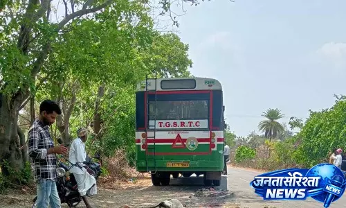 रामारेड्डी मंडल में RTC Bus के ब्रेक फेल होने से 15 भेड़ों की मौत रामारेड्डी मंडल में RTC Bus के ब्रेक फेल होने से 15 भेड़ों की मौत