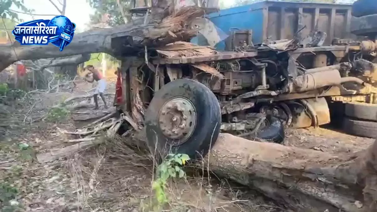 ट्रेलर से पेड़ गिरा, हाईटेंशन लाइन भी क्षतिग्रस्त ट्रेलर से पेड़ गिरा, हाईटेंशन लाइन भी क्षतिग्रस्त