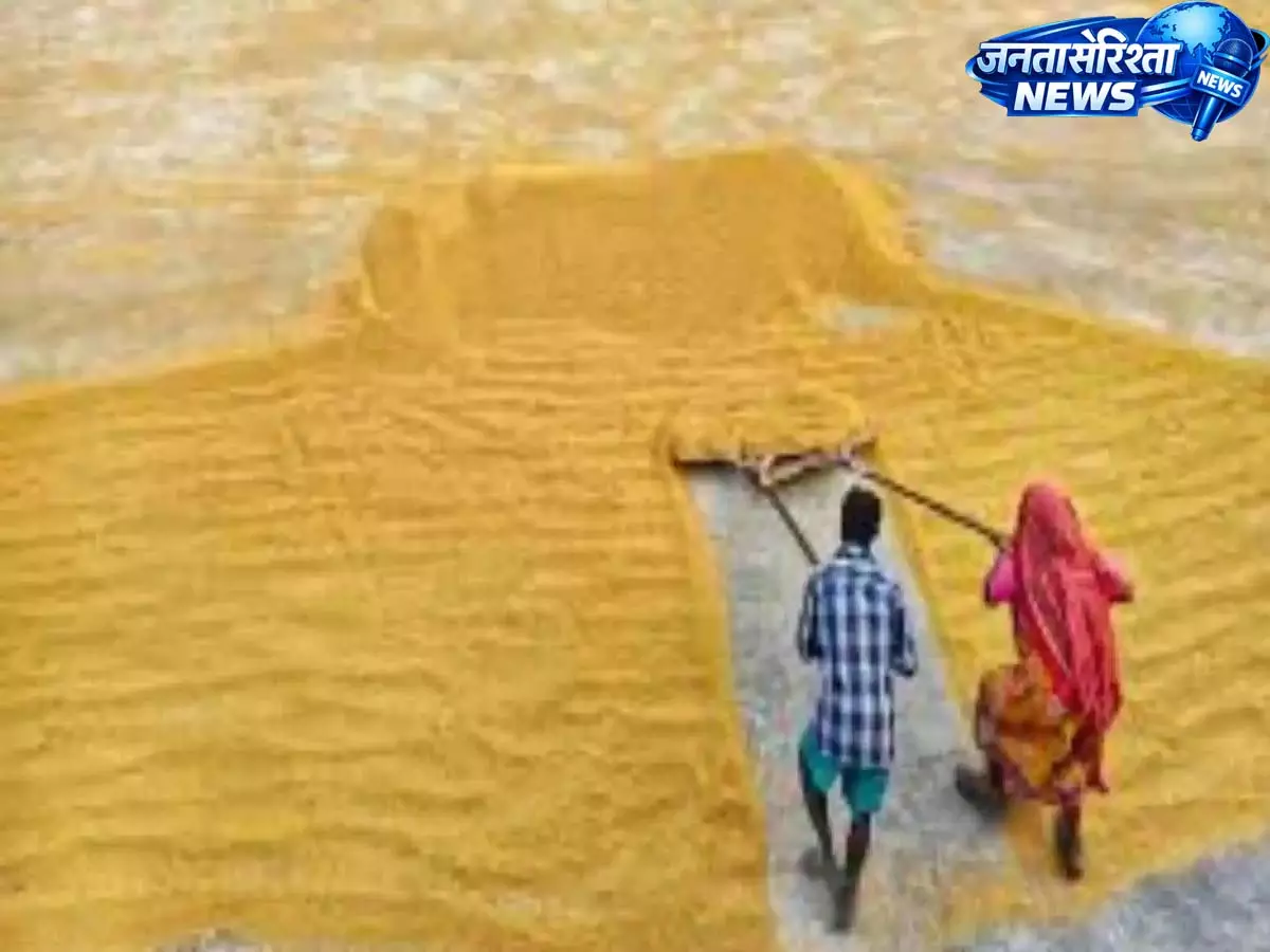 Hyderabad: सरकार ने चावल मिलर्स की याचिका खारिज की, 3,960 करोड़ रुपये का डिफॉल्ट घोषित Hyderabad: सरकार ने चावल मिलर्स की याचिका खारिज की, 3,960 करोड़ रुपये का डिफॉल्ट घोषित