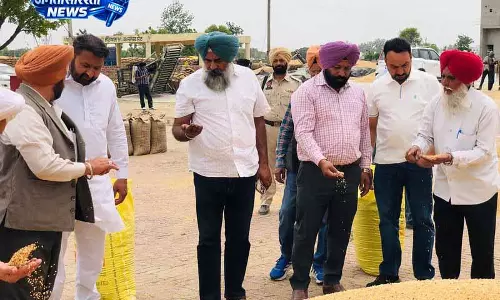 जालंधर मंडियों का हाल बेहाल: Pargat Singh